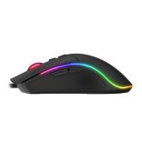 HAVIT MS1001 RGB